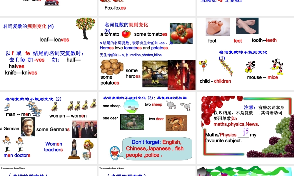 名词专项复习课件