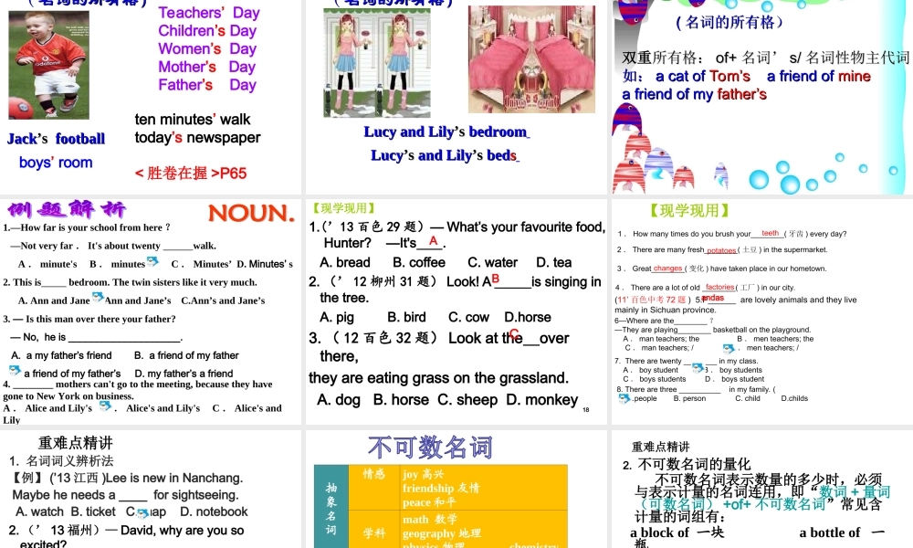 名词专项复习课件