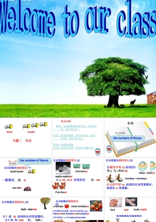 名词专项复习课件