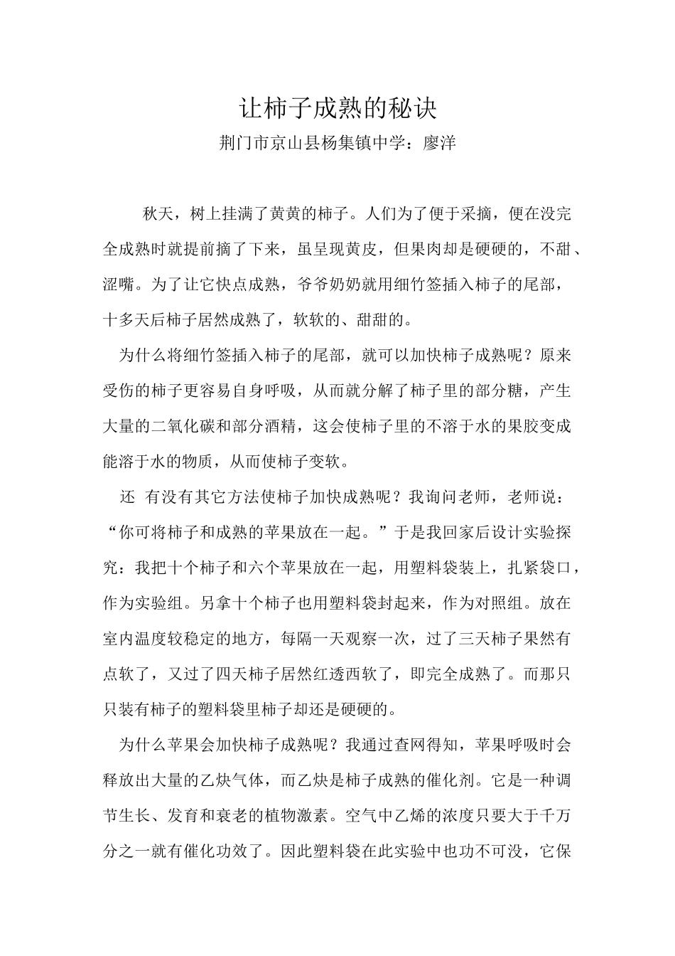 让柿子成熟的秘诀_第1页