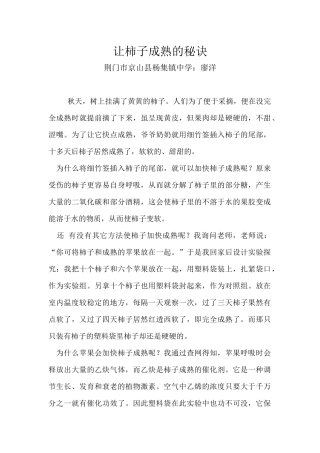 让柿子成熟的秘诀