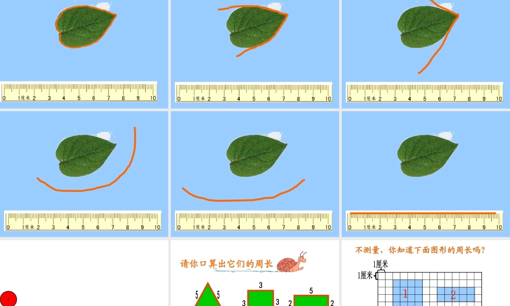 冀教版认识周长