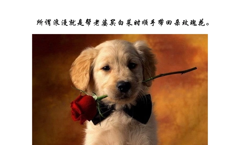 -一张图一句话_诉说人生哲理-1