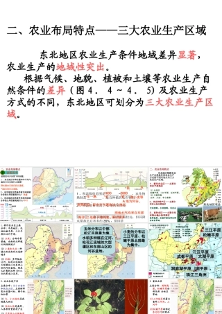 你们是什么意思呢