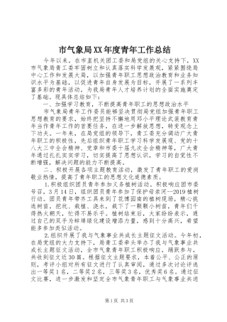 市气象局XX年度青年工作总结
