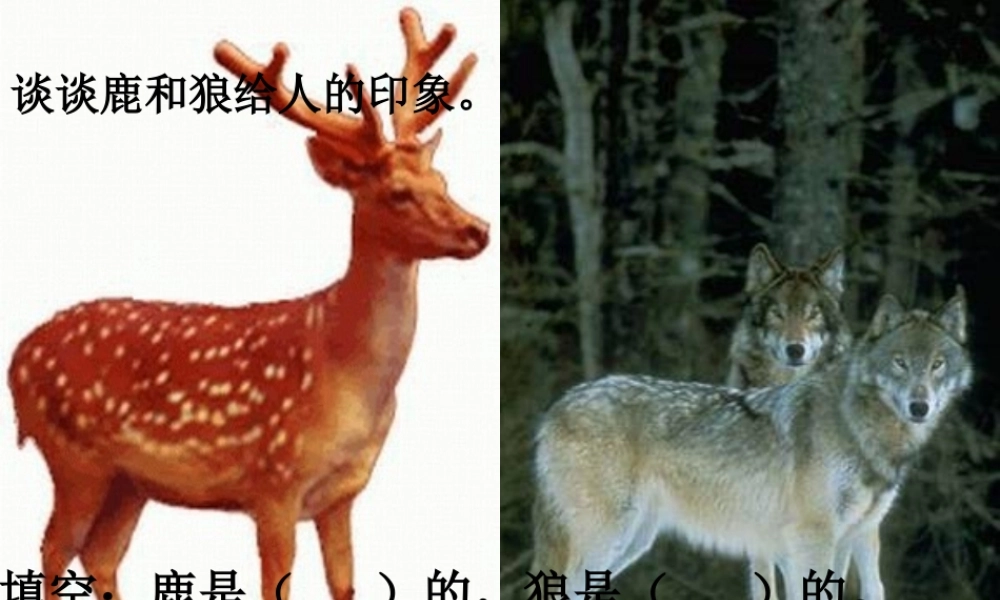 鹿和狼的故事 ()