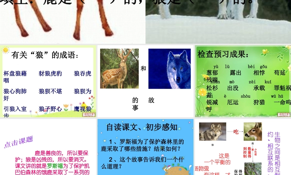 鹿和狼的故事 ()