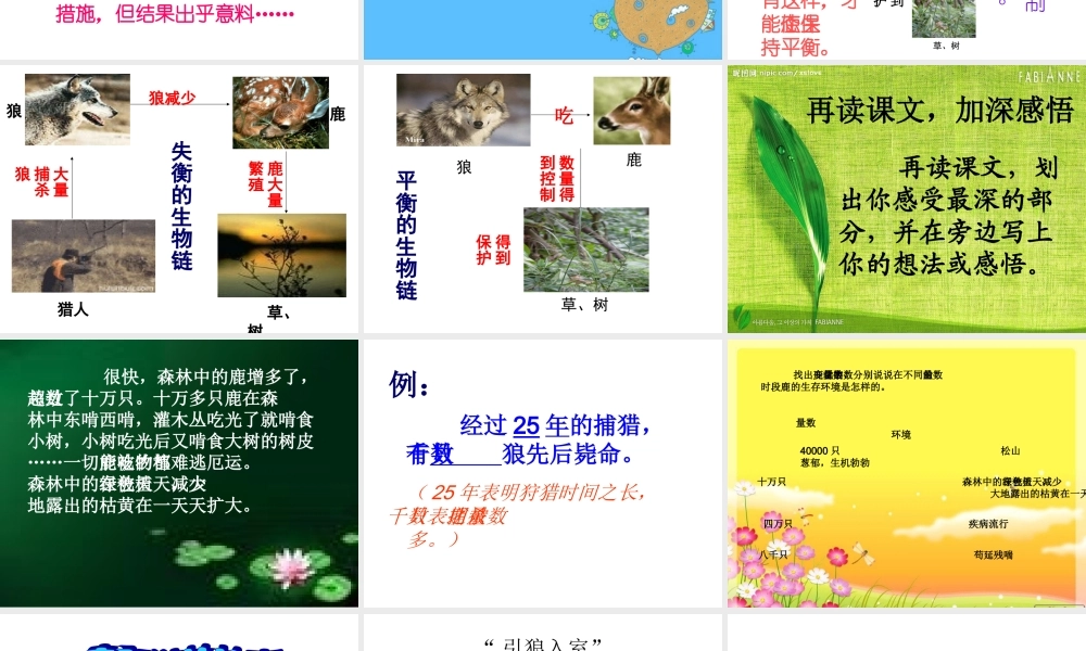 鹿和狼的故事 ()