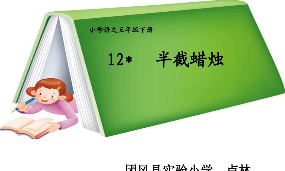 卢林《半截蜡烛》教学课件(