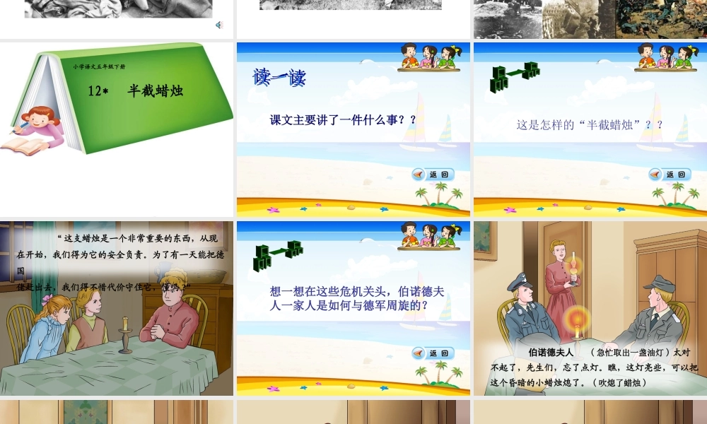 卢林《半截蜡烛》教学课件(