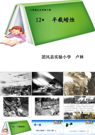 卢林《半截蜡烛》教学课件(