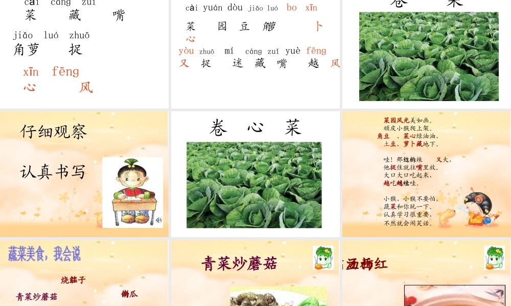 菜园里（梁奇志）