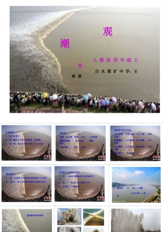 銆婅娼€媝pt