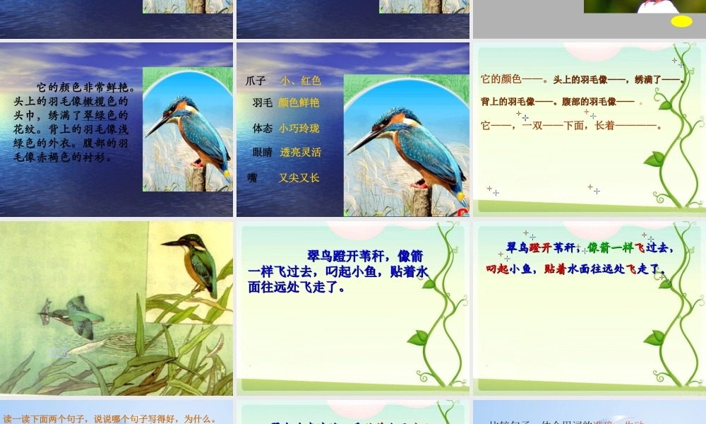 《翠鸟》第二课时