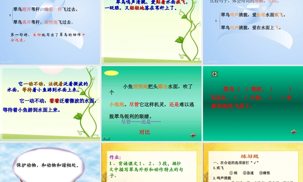 《翠鸟》第二课时