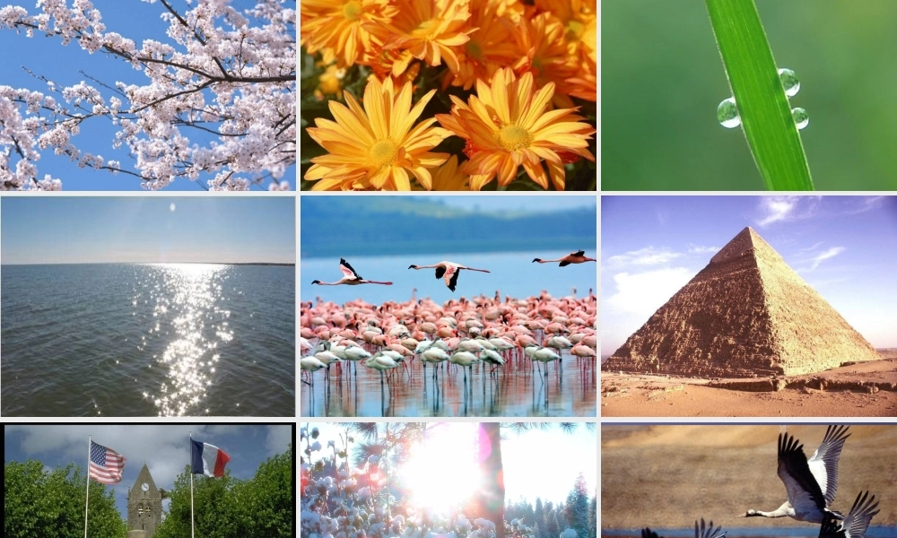 《太阳是大家的》