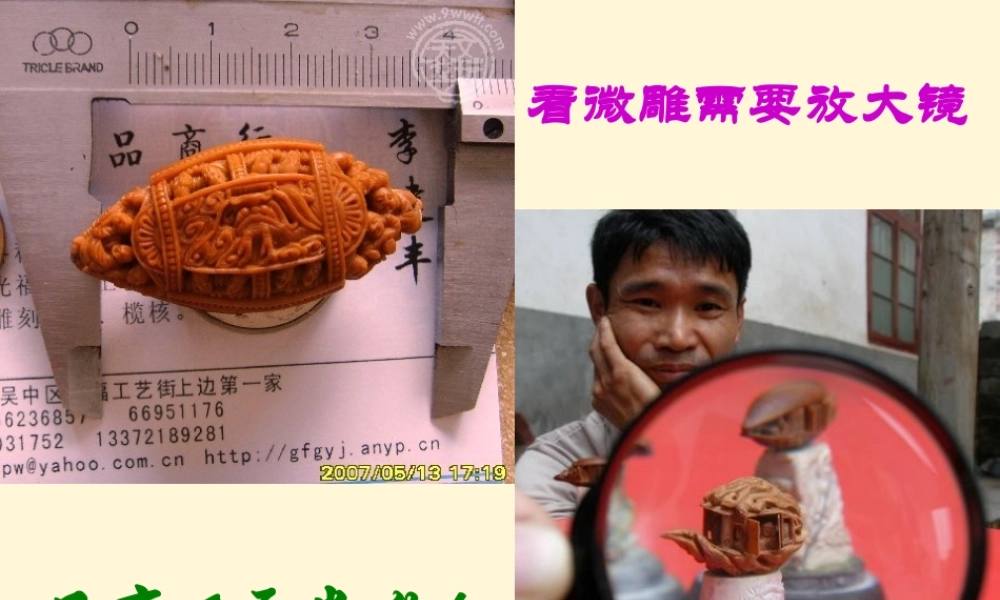 广东省东莞市宏伟中学八年级语文《核舟记》课件