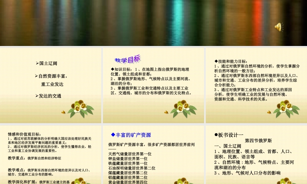 俄罗斯说课课件