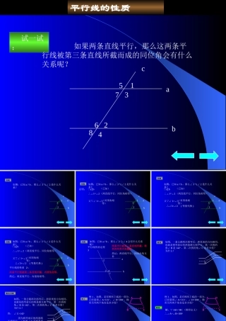 平行线的性质3