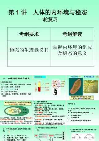 人体的内环境与稳态一轮复习