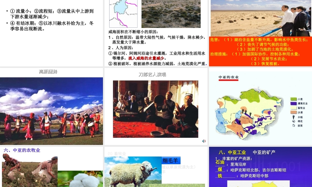 (高中地理)区域地理课件--中亚