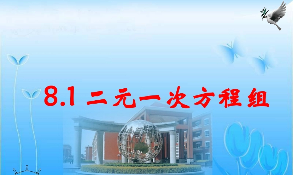 二元一次方程组课件