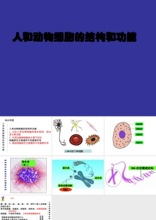 人和动物细胞的结构和功能