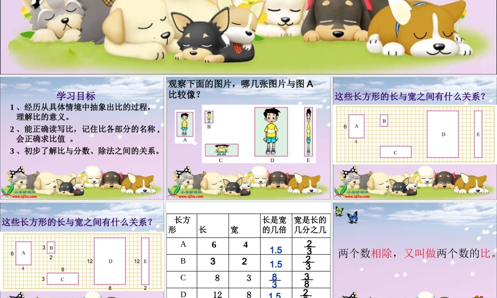 北师大版六年级数学上册《生活中的比》-王红丽