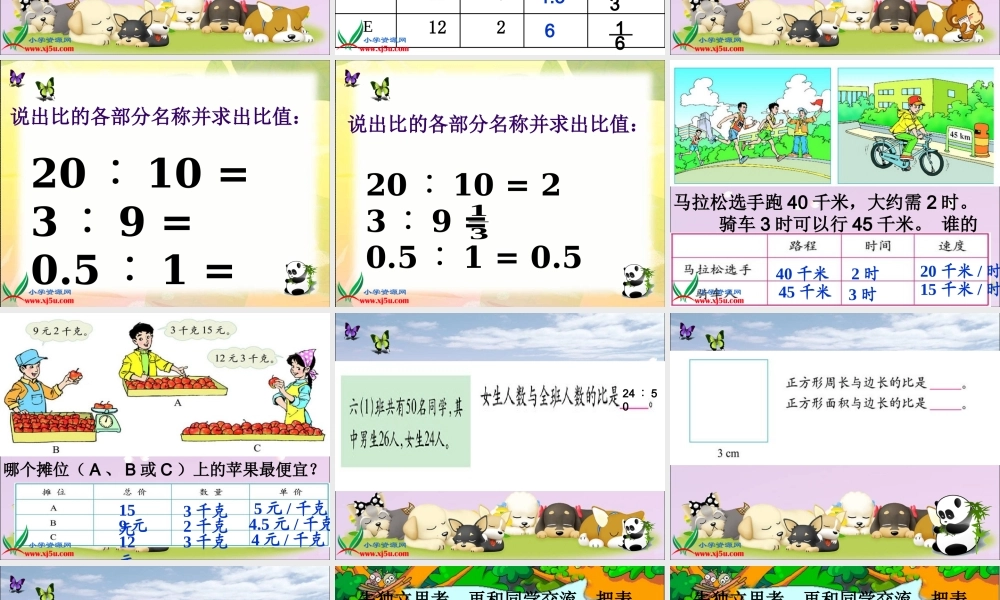 北师大版六年级数学上册《生活中的比》-王红丽
