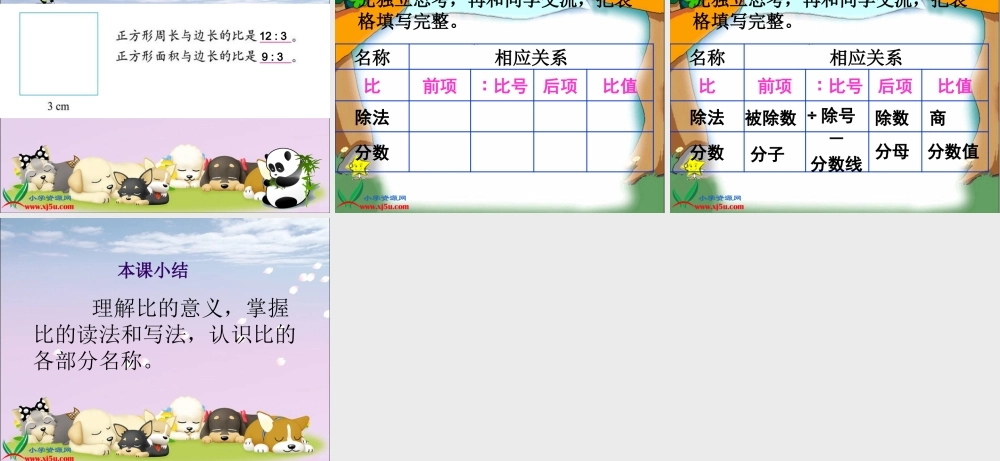 北师大版六年级数学上册《生活中的比》-王红丽