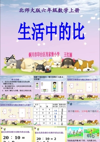 北师大版六年级数学上册《生活中的比》-王红丽