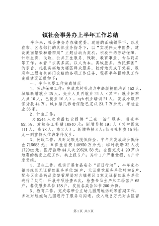 镇社会事务办上半年工作总结_1