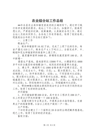 农业综合站工作总结