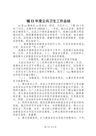 镇XX年度公共卫生工作总结