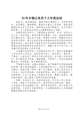 XX年乡镇公务员个人年度总结
