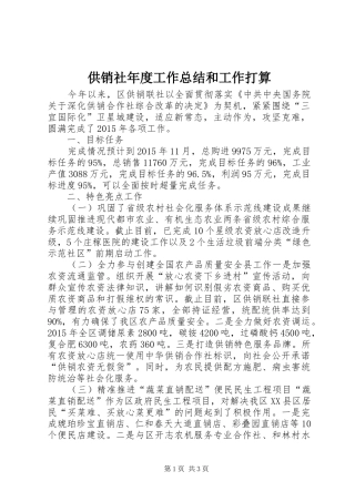 供销社年度工作总结和工作打算