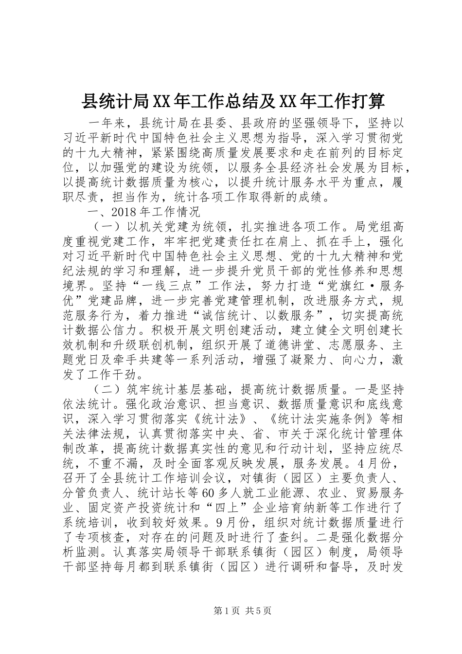 县统计局XX年工作总结及XX年工作打算_第1页