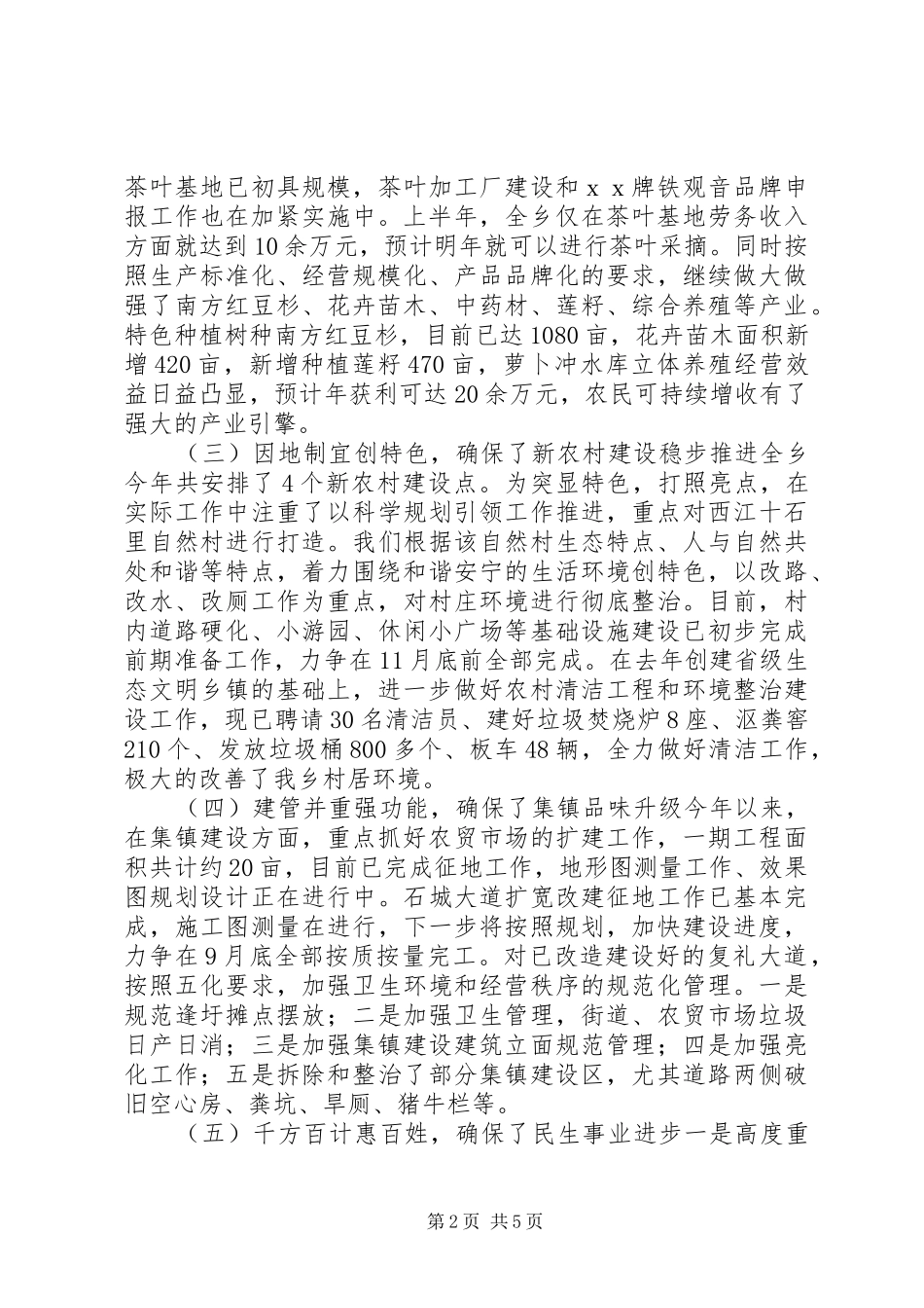 乡政府个人工作总结_第2页