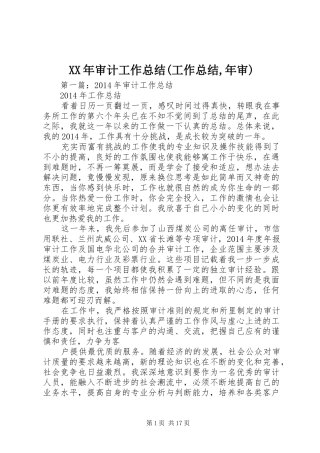 XX年审计工作总结(工作总结,年审)