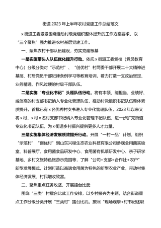 街道2023年上半年农村党建工作总结（汇报报告）