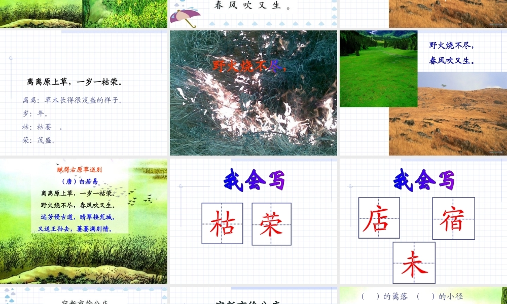 小学语文二年级下册古诗两首2_《草_宿新市徐公店》