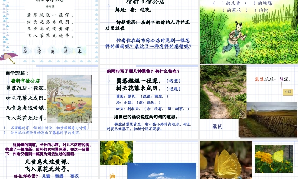 小学语文二年级下册古诗两首2_《草_宿新市徐公店》