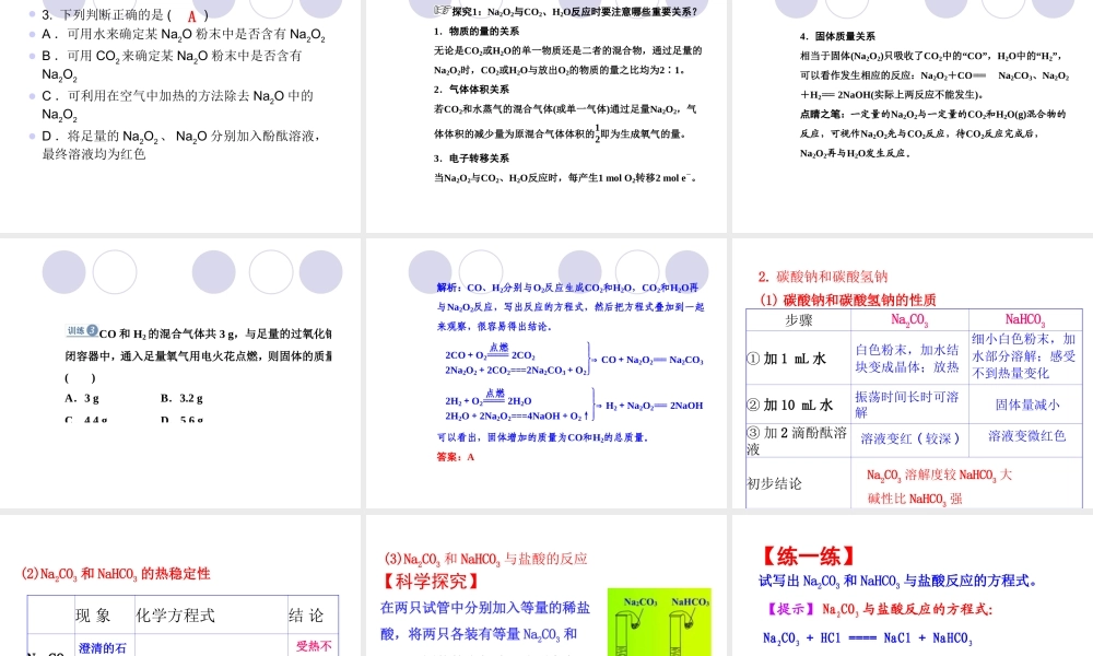 钠的重要化合物课件人教版必修