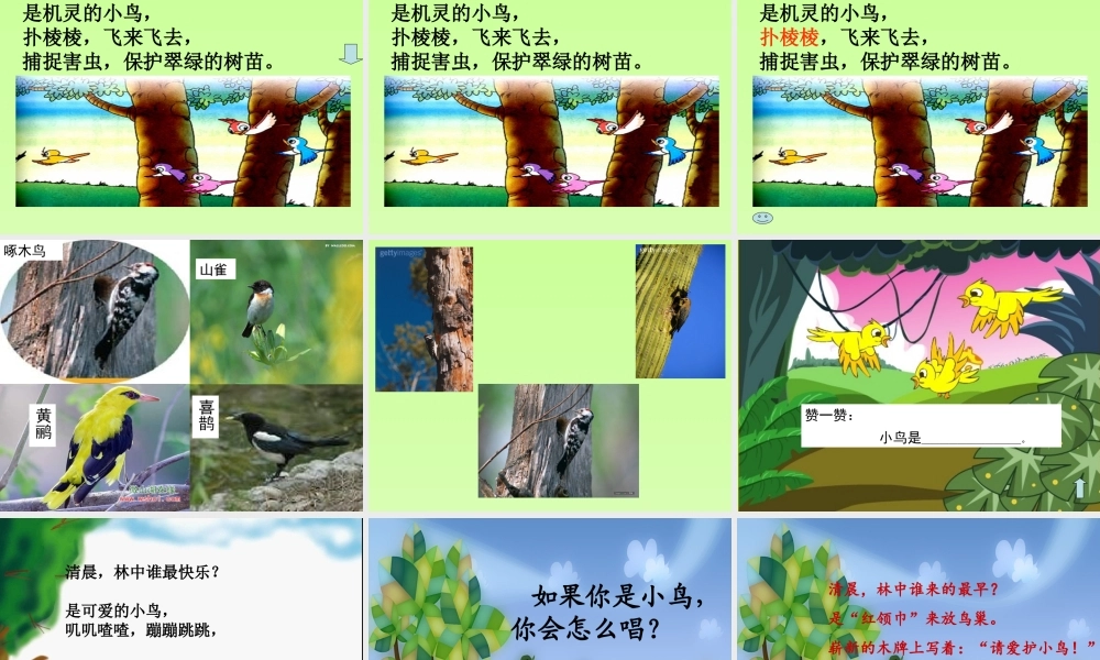 红领巾真好课件 