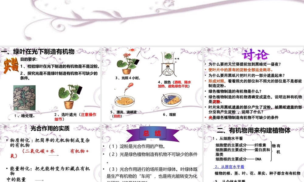 绿色植物是生物圈中有机物的制造者