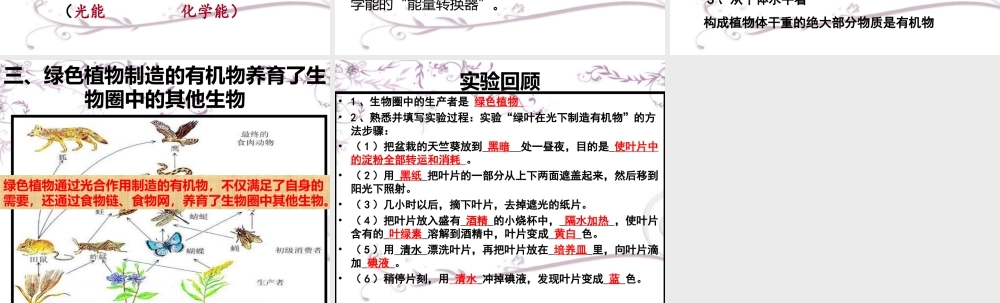 绿色植物是生物圈中有机物的制造者