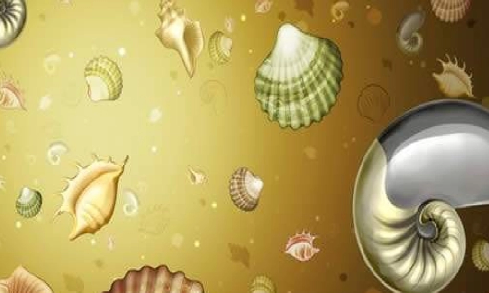 人教版音乐四年级上册《小螺号》PPT课件