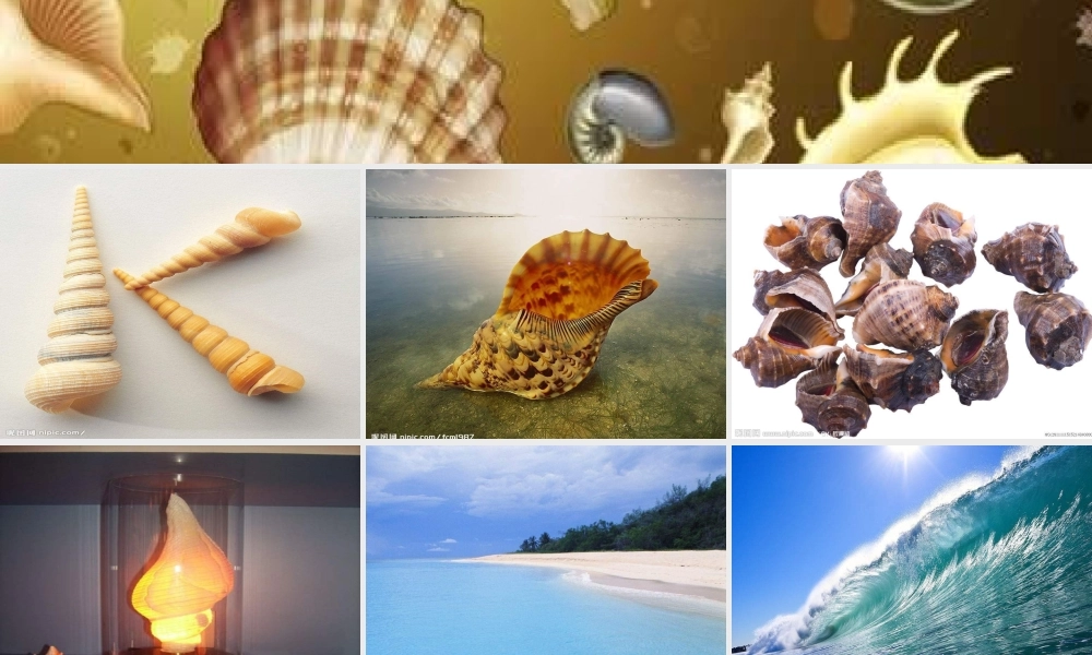 人教版音乐四年级上册《小螺号》PPT课件