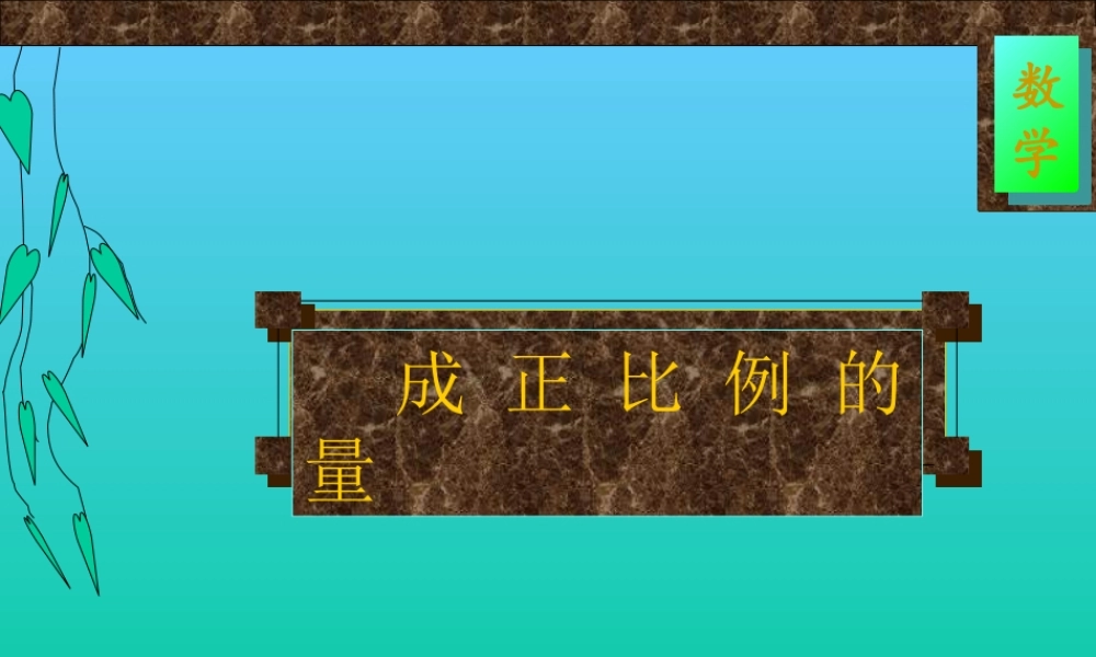 成正比例的量 (2)