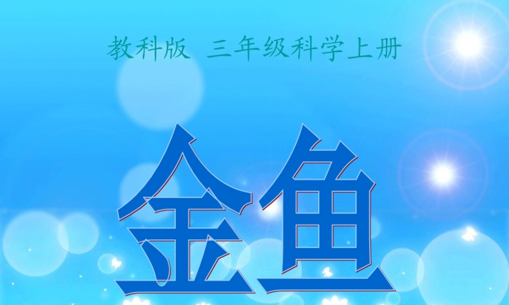 (教科版)三年级科学上册课件_金鱼